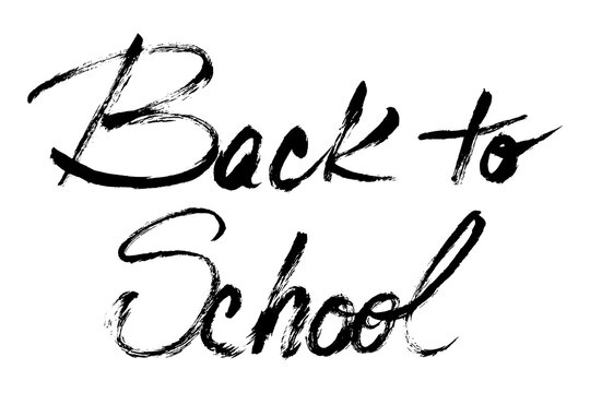 Back to School Text Brush Stroke Calligraphy. Grunge back to school hand written script lettering. Education, learning modern script
