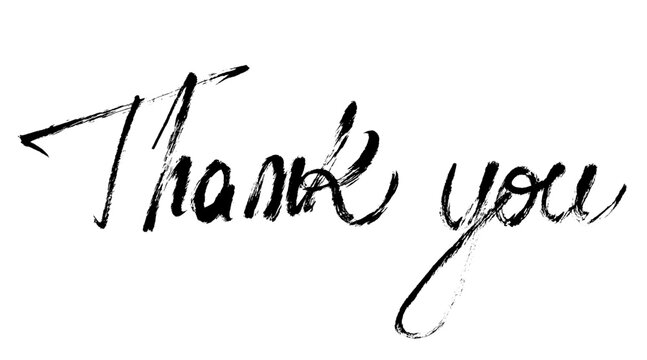 Thank You Text Brush Stroke Calligraphy. Grunge vector thank you hand written script lettering. 