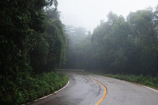 Widding road in rainy foggy and mist after rain and tropical forest in Thailand