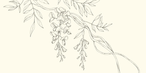 Naklejka premium Wisteria blooming. Spring background with flowers and brunch. Detailed botanic floral collection for Valentines day invitation, wallpaper art or save the date
