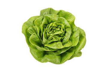 Fototapeta premium Fresh green butterhead lettuce isolated on white background, crisp organic leaf vegetable perfect for healthy salads and clean eating concepts.