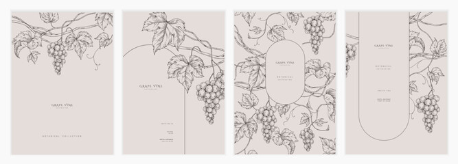 Obraz premium Set of card with grapes, vine and leaves. Detailed template layout design, brochure or cover for wine card, menu