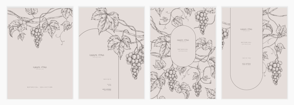 Set of card with grapes, vine and leaves. Detailed template layout design, brochure or cover for wine card, menu