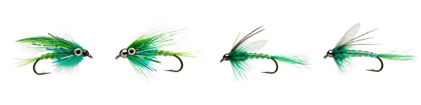 Four Green Feathered Fishing Flies Isolated on White Background, Artificial Lures for Fly Fishing, Professional Angling Equipment for Freshwater Trout and Bass
