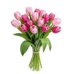 Obraz premium Bouquet of pink and red tulips wrapped with green leaves isolated on white background