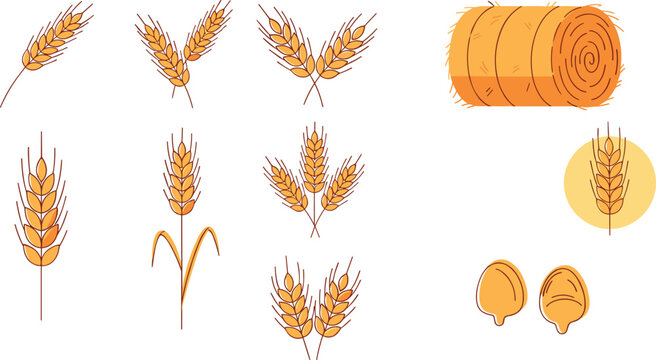 Wheat ears and grain elements collection with hay bale, cereal crops and agriculture harvest icons vector illustration set