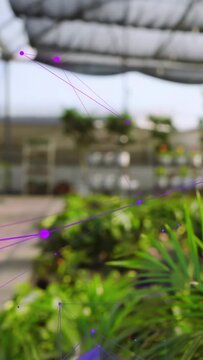 Vertical video: Plants framing as purple net emerging moving camera pulling back revealing aisle