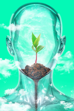 Plant growing inside transparent human head, concept of growth mindset and new ideas