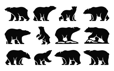 Fototapeta premium Collection of black bear silhouettes walking standing and moving in various poses on white background