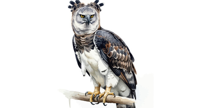 Majestic harpy eagle perched on a branch vector illustration isolated on white background