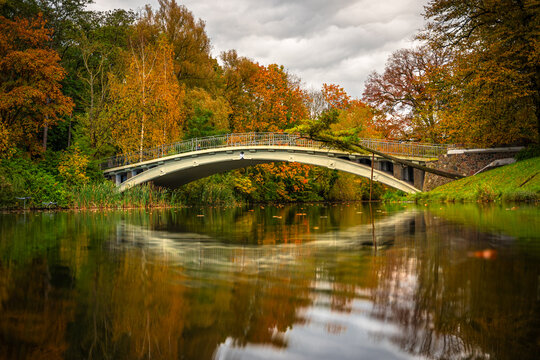 Autumn panorama and scenic view of the white Japanese Bridge over Rusalka in Kasprowicz Park, Szczecin, Poland.