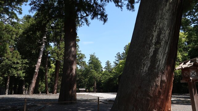 式年遷宮御敷地　伊勢神宮豊受大神宮　令和8年4月