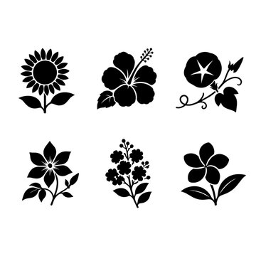 Icon set of summer flowers including sunflower, plumeria, hibiscus, clematis, morning glory, and crape myrtle.
Black and white simple design suitable for decoration and materials.