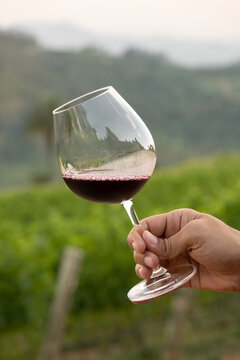Ta&ccedil;a de vinho com fundo de vinhedo desfocado.