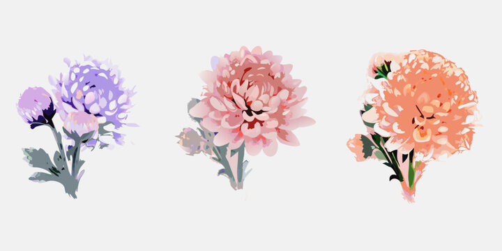 three stylized chrysanthemum flowers with colorful petals on light background high quality professional detailed modern