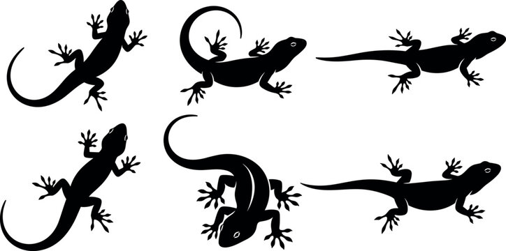 Collection of gecko lizard silhouettes in various poses isolated on white background reptile animal black vector illustration set
