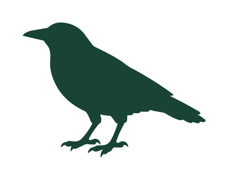 Silueta de p&aacute;jaro oscuro, ilustraci&oacute;n vectorial de un ave de pie, dise&ntilde;o minimalista de cuervo o grajo, elemento gr&aacute;fico para branding y naturaleza