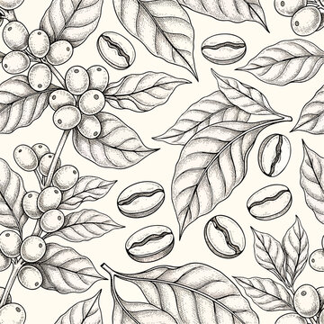Detailed hand-drawn illustration of coffee beans, leaves, and berries in a seamless pattern