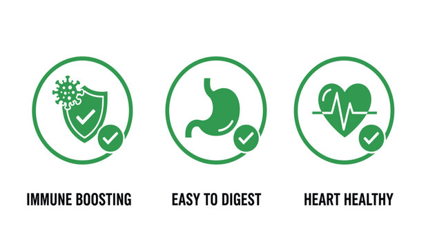 Immune boosting easy digestion and heart health a wellness illustration