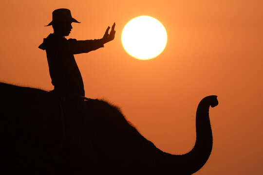 Side view silhouette of a mahout riding an elephant at sunset with his arms outstretched pretending to warm his hands on the sun, Thailand