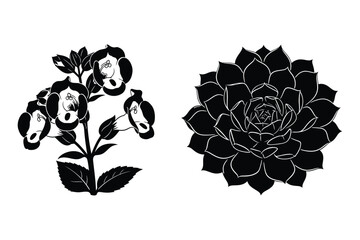 Black silhouette vector illustrations of foxglove and hens and chicks plant © Roney