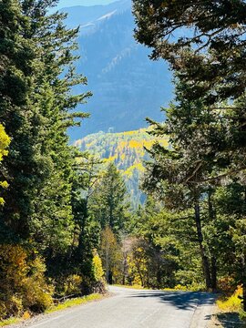 Empty road through American Fork Canyon in autumn, Salt Lake City, Utah, USA