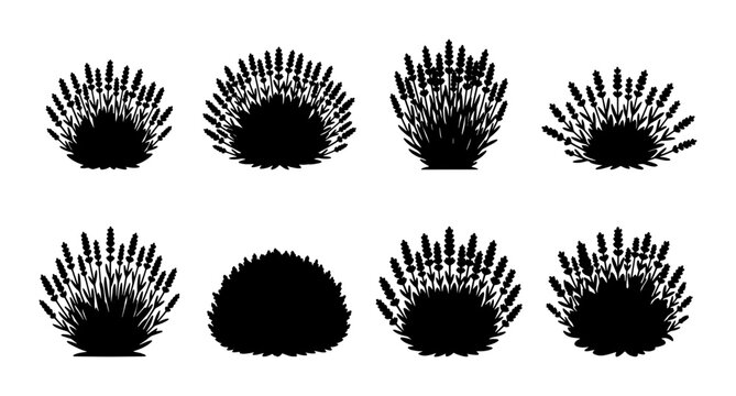 Black lavender bush silhouette set, 8 floral vector elements, aromatic herb plant icons for garden landscaping and cosmetic packaging design