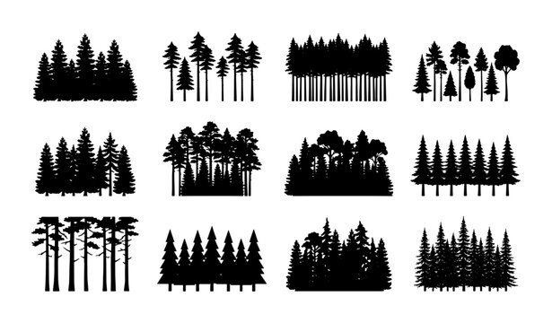 Diverse Forest Silhouettes Collection, Evergreen Trees Vector Pack, Pine Woodland Scenes for Nature Design