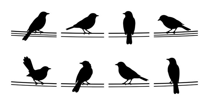 Black bird silhouettes on wire vector set, 8 songbird icons sitting on power lines, minimalist avian nature collection for outdoor design