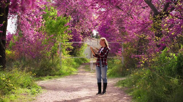 Botanist researching flowering trees using tablet in natural environment. Scientific study of plants, botany concept, spring blossom, field research and data collection outdoors.