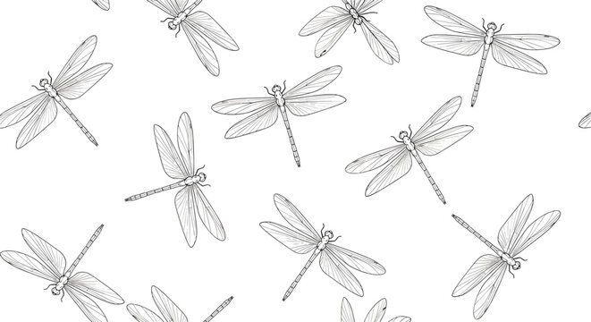 A whimsical pattern of delicately sketched dragonflies scattered across a clean white background.