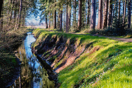 Footpath along a Stream flowing through a forest landscape, East Frisia, Lower Saxony, Germany