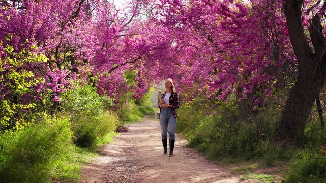Beautiful view of female farmer holding notebook while walk along scenic dirt path surrounded by blooming pink redbud trees in a lush, green countryside during a sunny spring day