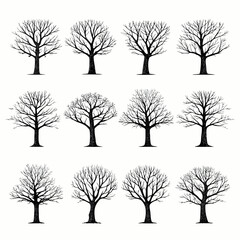 Obraz premium bare tree silhouettes on white background high quality