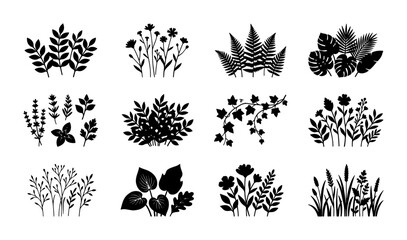 Botanical Vector Icons Set, Black and White Plant Silhouettes for Nature Design, Organic Elements Collection, 12 SVG Graphics © Monira