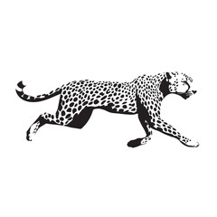 Fototapeta premium running cheetah vector illustration