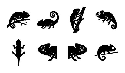 set of black and white chameleon silhouettes on white background © Kawsar