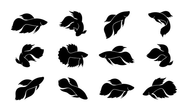 Betta Fish Silhouettes, Siamese Fighting Fish Vector Icons, Aquatic Pet Graphics, Underwater Animal Illustrations, 12 Unique Poses, Black and White SVG Set