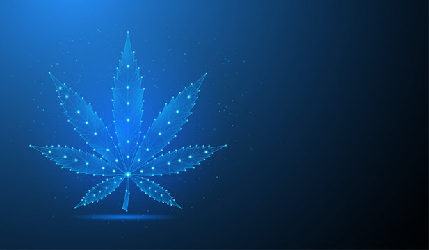 Digital Cannabis Leaf Network Low Poly Technology Marijuana Concept Vector Illustration