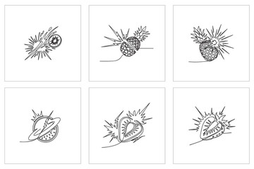 Fototapeta premium Set of continuous line drawing illustrations depicting various tropical and common fruits exploding with dynamic energy and motion.
