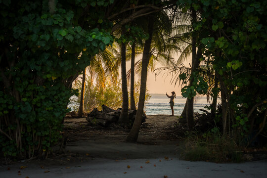 View of a lone figure silhouetted against the ocean, framed by lush tropical foliage and palm trees, in Vashafaru Island, Thiladhummathi Atoll, Maldives.