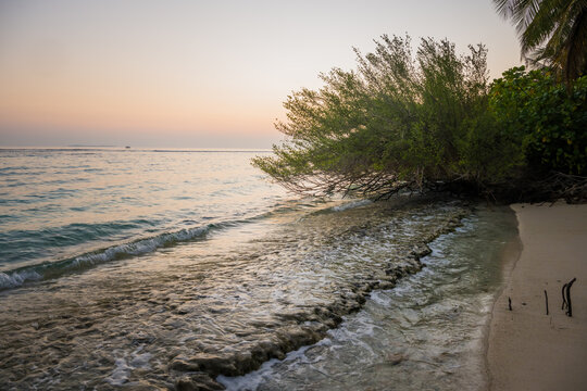 View of the tranquil shoreline where gentle waves meet the sandy beach, fringed by lush green trees under a soft, pastel-colored sky, Vashafaru Island, Thiladhummathi Atoll, Maldives.