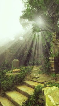 Golden rays of sunlight pierce through the thick canopy, illuminating majestic stone structures overrun by vibrant greenery. Nature claims its reign over this tranquil, historical sanctuary.