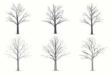 Obraz premium bare tree sketches in six variations on white background