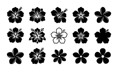 Tropical hibiscus and frangipani flower icons, black silhouette floral vector set of 15 elements, exotic summer bloom illustrations for logo design © Mehnaz