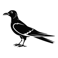 Obraz premium Bird silhouette vector icon. Black graphic illustration of a standing crow or raven. Isolated animal symbol for a logo or emblem design