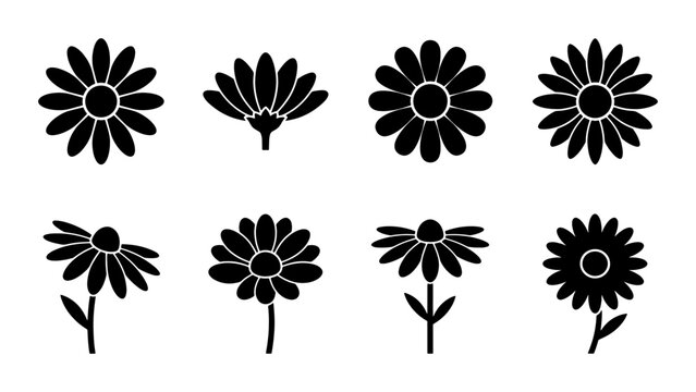 Minimalist daisy flower icons set, black floral silhouette vector elements, collection of 8 botanical chamomile blossom symbols for logo design