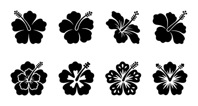 Tropical hibiscus flower icons set, black floral silhouettes of exotic blooms, 8 vector hibiscus blossom elements for summer design