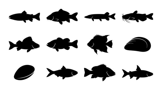 Black fish silhouettes collection, set of 12 aquatic animal icons, minimalist river and ocean fish vector shapes for fishing logos and seafood branding