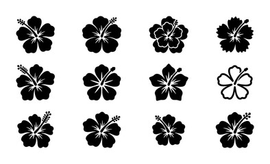 Tropical hibiscus flower silhouettes, set of 12 black floral icons, exotic hawaiian bloom vector graphics for summer branding and logo design © Reshma